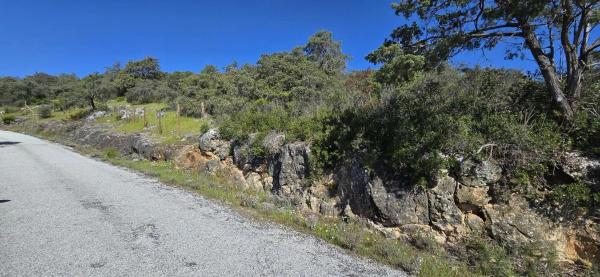 Terreno en San Agustin de Guadalix