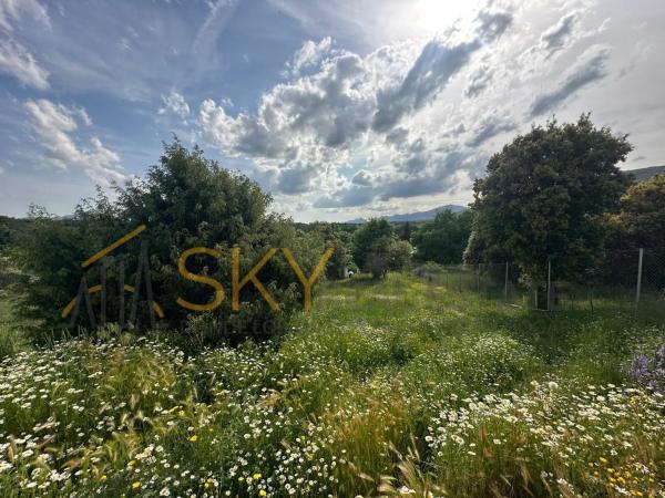 Terreno en calle Cabaña