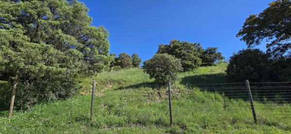 Terreno en San Agustin de Guadalix