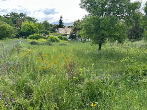 Terreno en calle Cabaña