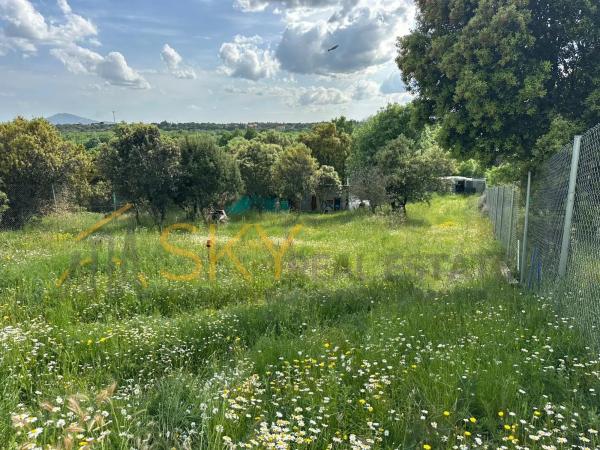Terreno en calle Cabaña