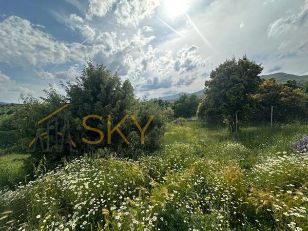Terreno en calle Cabaña