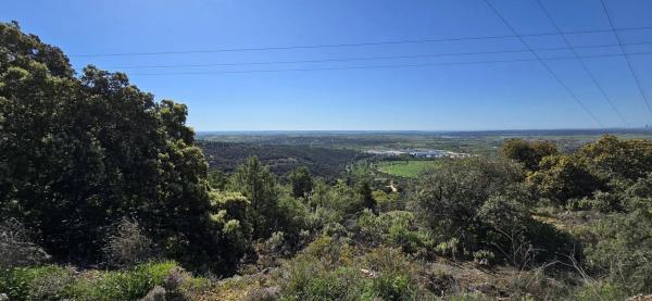 Terreno en San Agustin de Guadalix