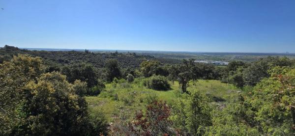 Terreno en San Agustin de Guadalix