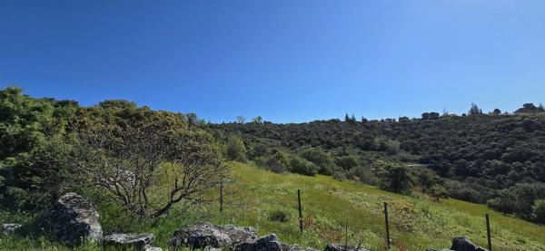 Terreno en San Agustin de Guadalix