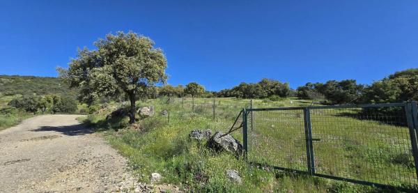 Terreno en San Agustin de Guadalix