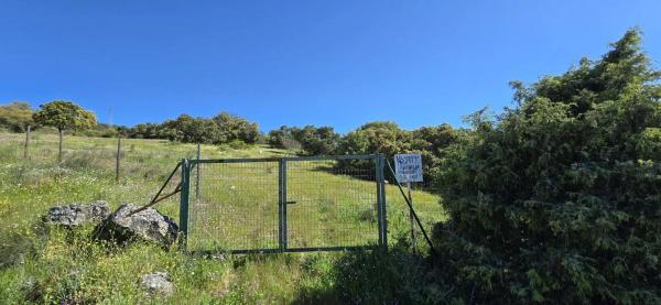 Terreno en San Agustin de Guadalix
