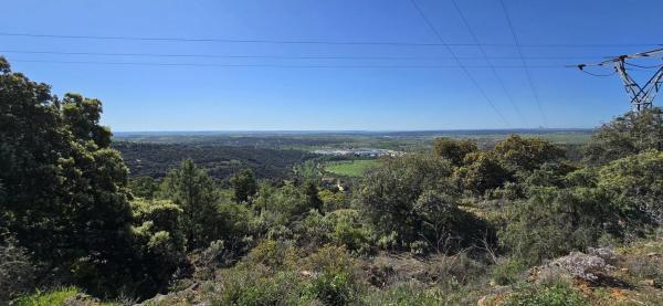 Terreno en San Agustin de Guadalix