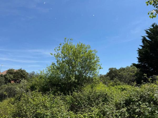Terreno en Ciudalcampo