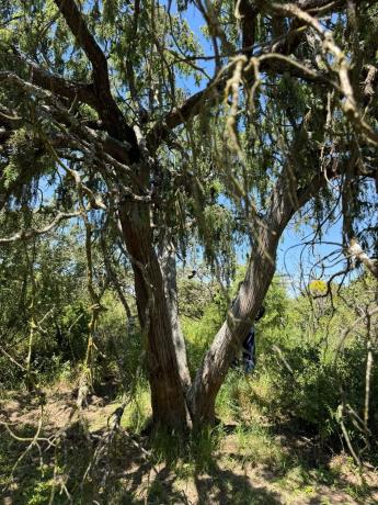 Terreno en Ciudalcampo