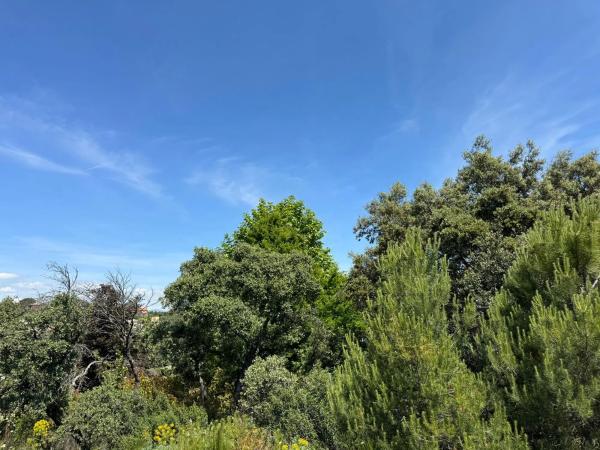 Terreno en Ciudalcampo