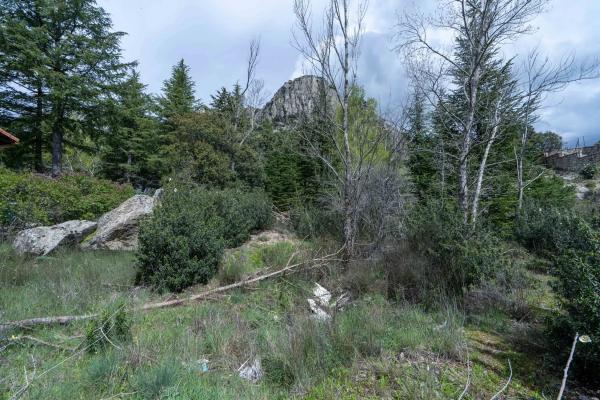 Terreno en avenida de la Cabrera, 81