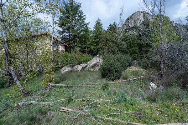 Terreno en avenida de la Cabrera, 81