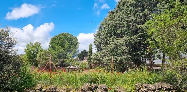 Terreno en carretera de Colmenar Viejo, 26