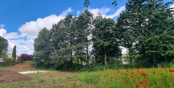 Terreno en carretera de Colmenar Viejo, 26