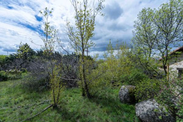 Terreno en avenida de la Cabrera, 81