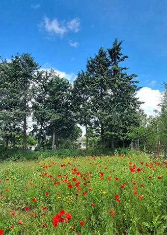 Terreno en carretera de Colmenar Viejo, 26