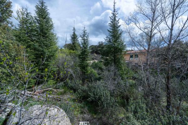 Terreno en avenida de la Cabrera, 81