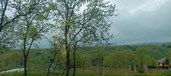 Terreno en calle de los Gallegos