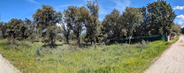 Terreno en camino de las Dunas, 10