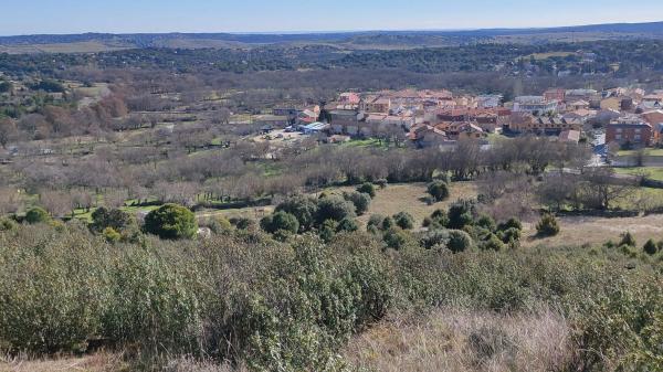 Terreno en calle Del Moral s/n