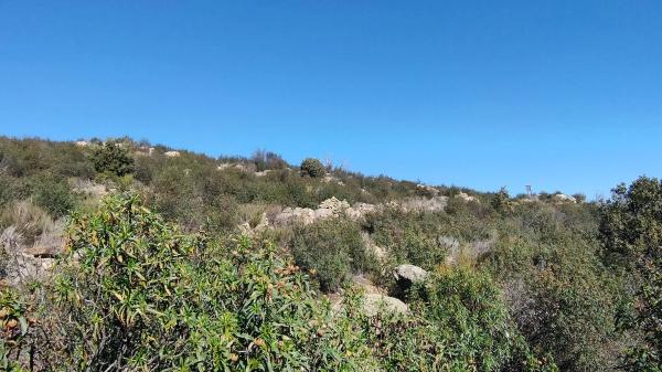 Terreno en calle Del Moral s/n