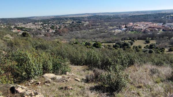 Terreno en calle Del Moral s/n