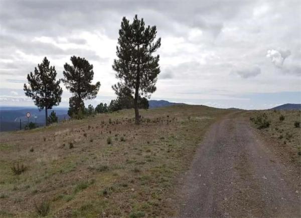 Terreno en Pj cañarral