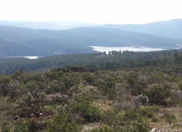 Terreno en Pj cañarral