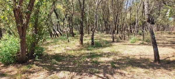 Terreno en Villavieja, 11