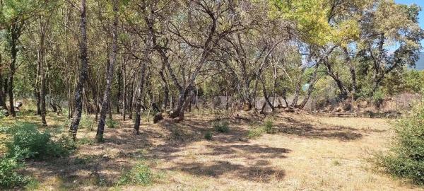 Terreno en Villavieja, 11