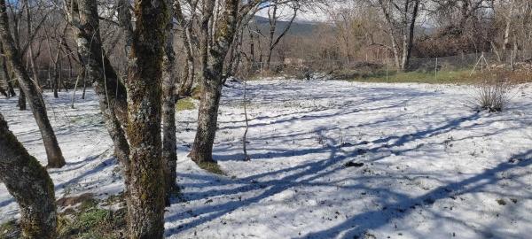 Terreno en Villavieja, 11