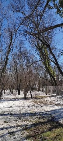 Terreno en Villavieja, 11