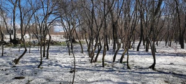 Terreno en Villavieja, 11