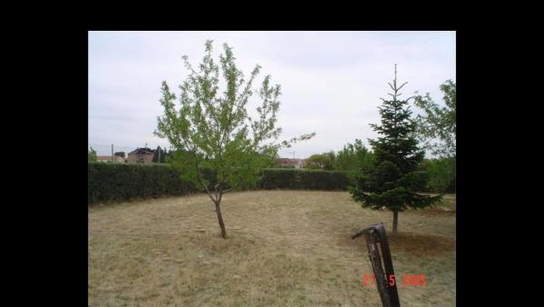 Terreno en camino de Valdetorres, 24