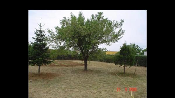 Terreno en camino de Valdetorres, 24