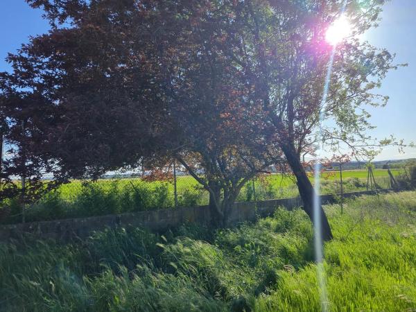 Terreno en calle Diseminado, 93