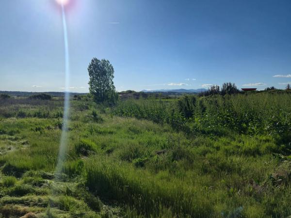 Terreno en calle Diseminado, 93