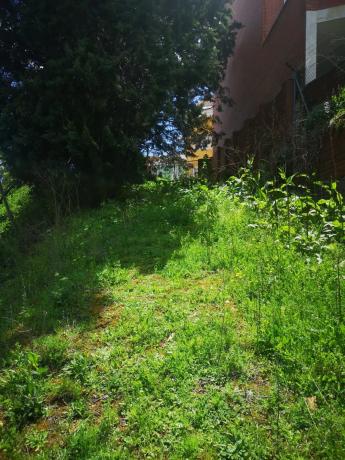 Terreno en calle Daganzo, 11