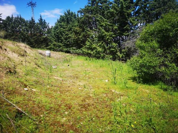 Terreno en calle Daganzo, 11