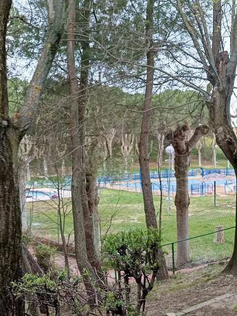 Terreno en camino del camping, 10