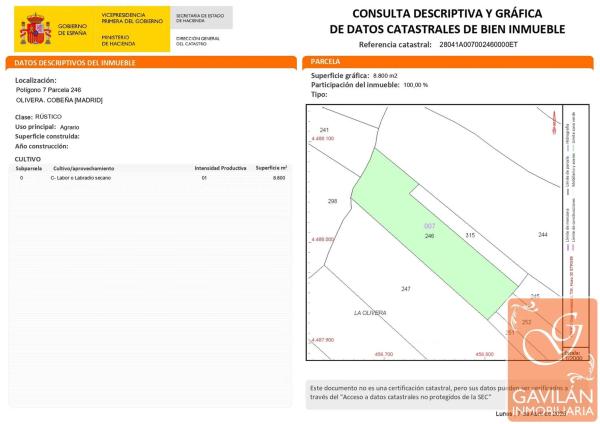 Terreno en Olivera, Polígono 7, Parcela 146 s/n