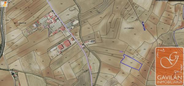 Terreno en Camisa, Polígono 5, Parcela 167 s/n