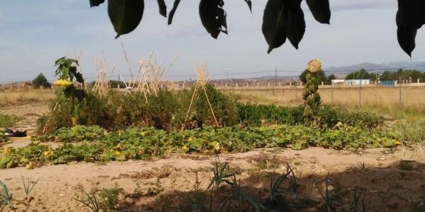 Terreno en travesía de Madrid