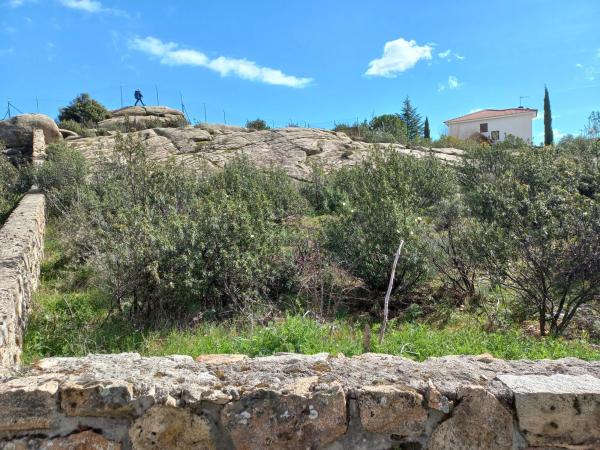 Terreno en calle de las Camelias, 22