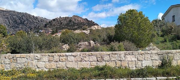Terreno en calle de las Camelias, 18
