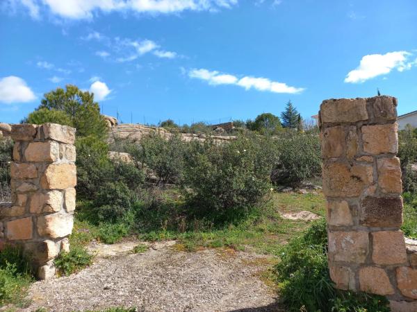 Terreno en calle de las Camelias, 22