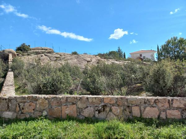 Terreno en calle de las Camelias, 22