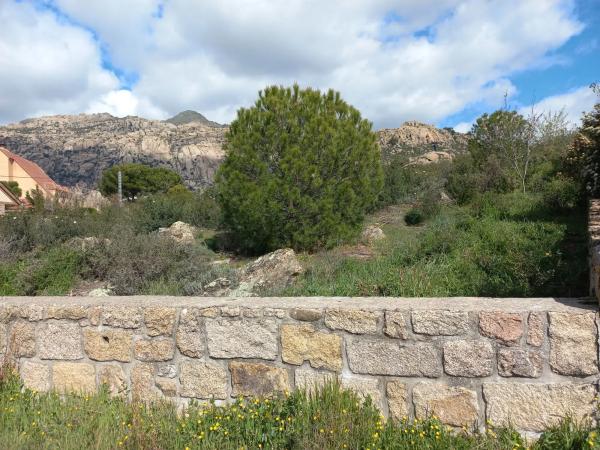 Terreno en calle de las Camelias, 22