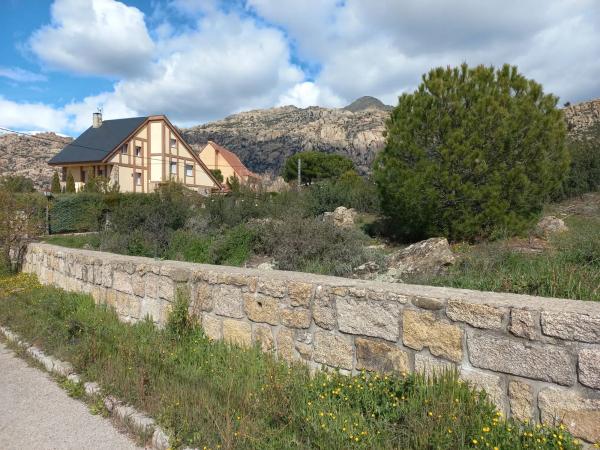 Terreno en calle de las Camelias, 22